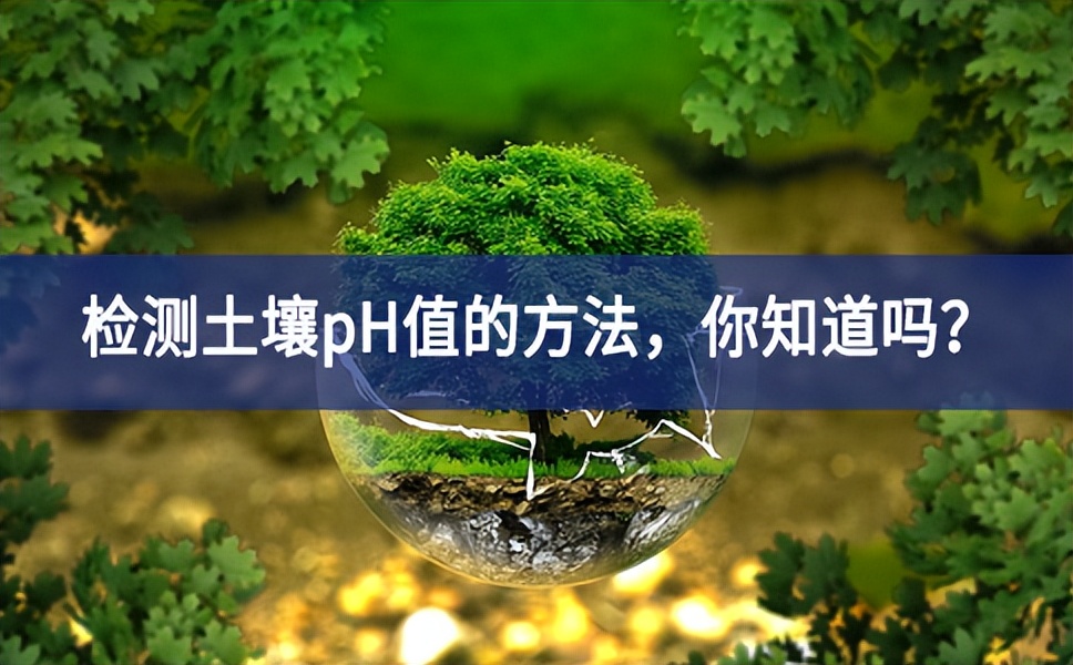 檢測(cè)土壤pH值的方法，你知道嗎？