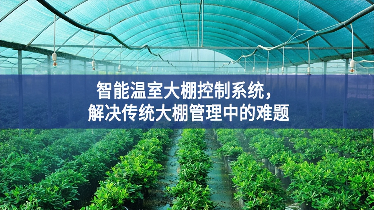 智能溫室大棚控制系統(tǒng)，解決傳統(tǒng)大棚管理中的難題