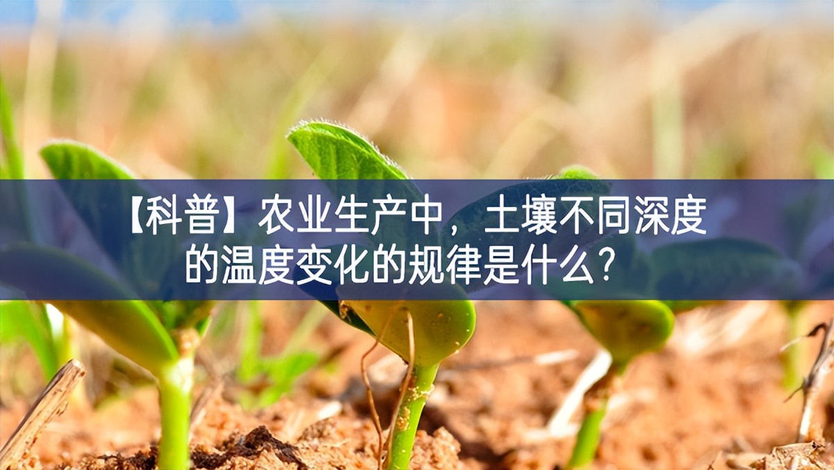 【科普】農(nóng)業(yè)生產(chǎn)中，土壤不同深度的溫度變化的規(guī)律是什么？
