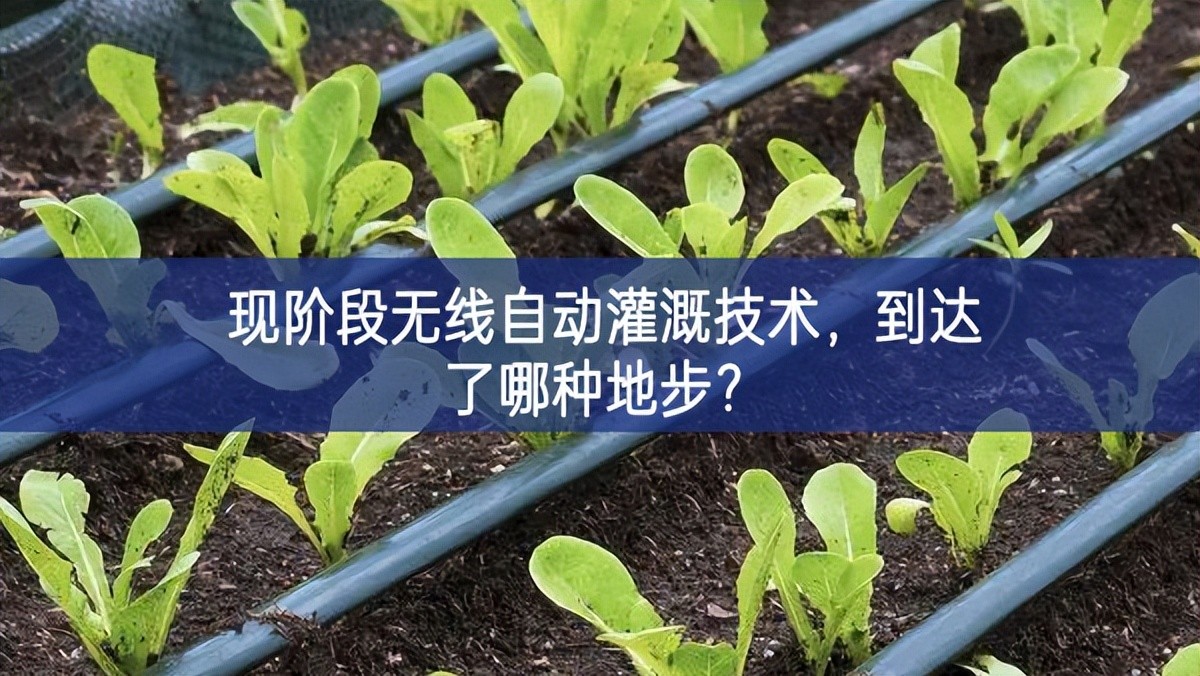 現(xiàn)階段無線自動(dòng)灌溉技術(shù)，到達(dá)了哪種地步？