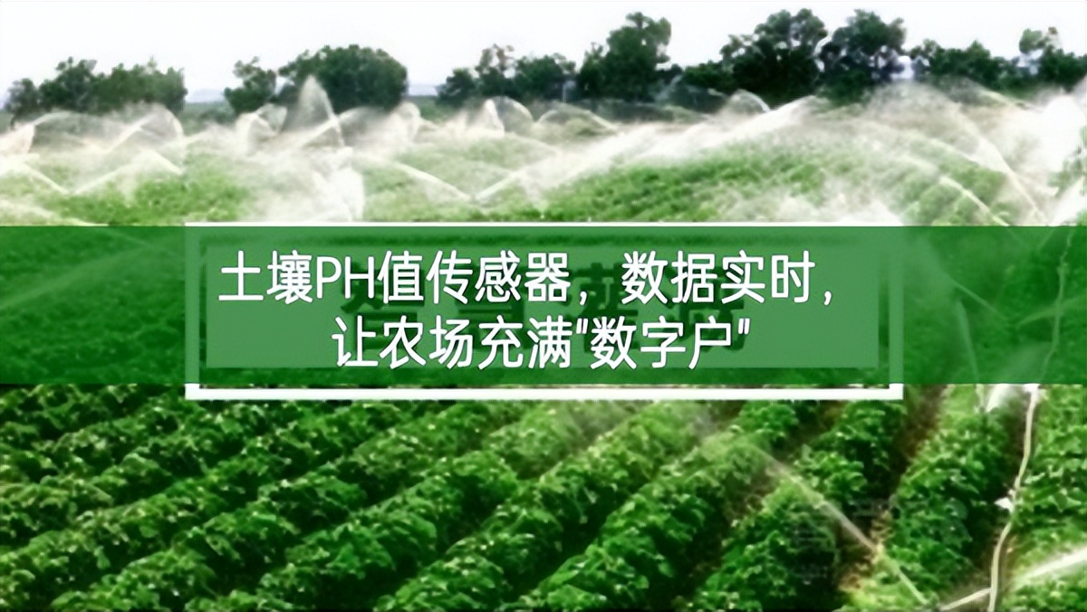 土壤PH值傳感器，數(shù)據(jù)實(shí)時(shí)，讓農(nóng)場(chǎng)充滿"數(shù)字戶"