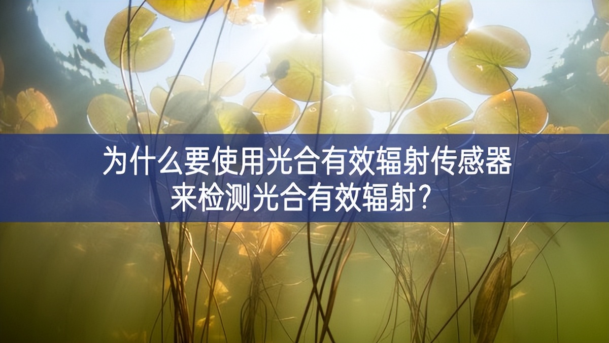 為什么要使用光合有效輻射傳感器來檢測光合有效輻射？
