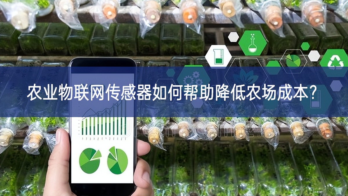 農(nóng)業(yè)物聯(lián)網(wǎng)傳感器如何幫助降低農(nóng)場(chǎng)成本？