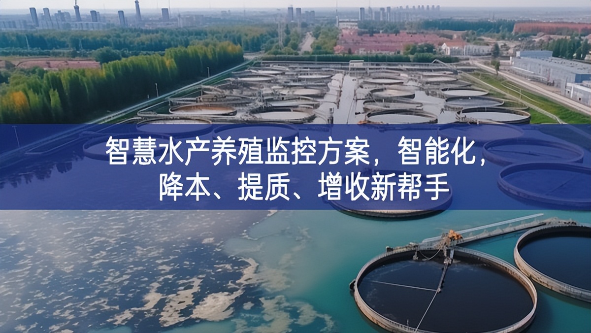 智慧水產(chǎn)養(yǎng)殖監(jiān)控方案，智能化，降本、提質(zhì)、增收新幫手