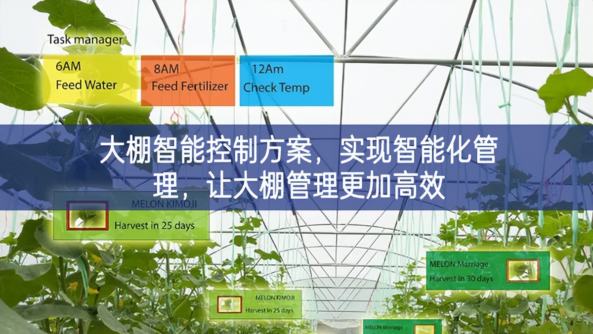 大棚智能控制方案，實現(xiàn)智能化管理，讓大棚管理更加高效