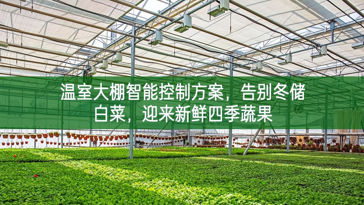 溫室大棚智能控制方案，告別冬儲白菜，迎來新鮮四季蔬果
