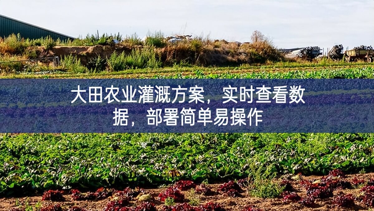 大田農(nóng)業(yè)灌溉方案，實(shí)時(shí)查看數(shù)據(jù)，部署簡(jiǎn)單易操作