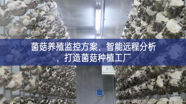 菌菇養(yǎng)殖監(jiān)控方案，智能遠(yuǎn)程分析，打造菌菇種植工廠