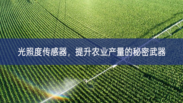 光照度傳感器，提升農(nóng)業(yè)產(chǎn)量的秘密武器