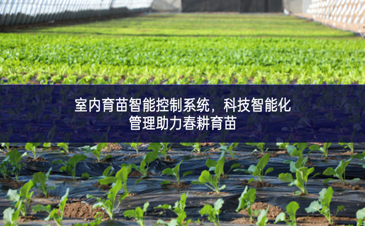 室內(nèi)育苗智能控制系統(tǒng)，科技智能化管理助力春耕育苗