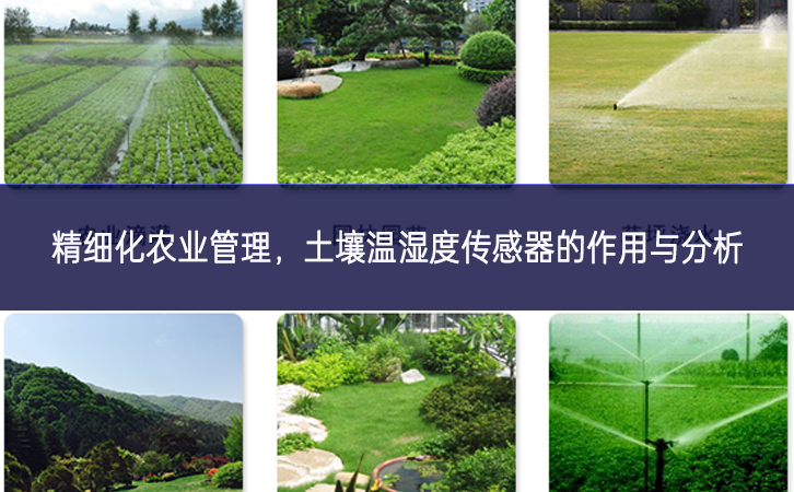 精細化農(nóng)業(yè)管理，土壤溫濕度傳感器的作用與分析
