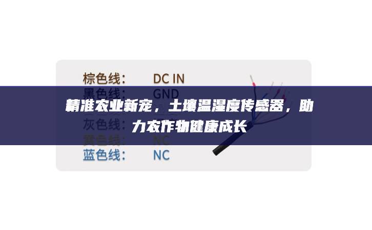 精準(zhǔn)農(nóng)業(yè)新寵，土壤溫濕度傳感器，助力農(nóng)作物健康成長