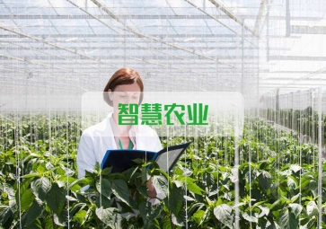 春雷一聲 驚蟄到，聚英智慧農業(yè)系統(tǒng)助力農業(yè)春耕