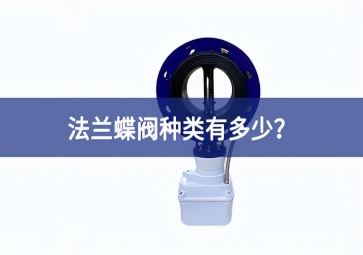 法蘭蝶閥種類有多少？