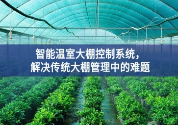 「智慧農(nóng)業(yè)」智能溫室大棚控制系統(tǒng)，解決傳統(tǒng)大棚管理中的難題