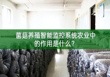 「智慧養(yǎng)殖」菌菇養(yǎng)殖智能監(jiān)控系統(tǒng)在農(nóng)業(yè)中的作用是什么？