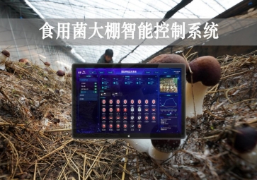 「智慧養(yǎng)殖」食用菌大棚智能監(jiān)控系統(tǒng)，自動(dòng)調(diào)節(jié)溫濕度