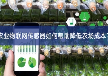 農(nóng)業(yè)物聯(lián)網(wǎng)傳感器如何幫助降低農(nóng)場成本？