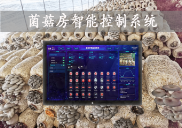 「智慧養(yǎng)殖」菌菇房智能控制系統(tǒng)，智能控溫，助力大棚食用菌種植