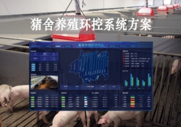 「智慧養(yǎng)殖」豬舍養(yǎng)殖環(huán)控系統(tǒng)方案，獲取環(huán)境參數(shù)，數(shù)字化畜牧業(yè)
