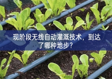 現(xiàn)階段無(wú)線自動(dòng)灌溉技術(shù)，到達(dá)了哪種地步？