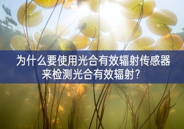為什么要使用光合有效輻射傳感器來檢測光合有效輻射？