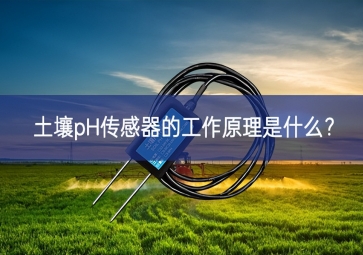 土壤pH傳感器的工作原理是什么？