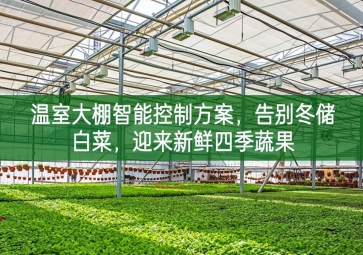 「智慧農(nóng)業(yè)」溫室大棚智能控制方案，告別冬儲(chǔ)白菜，迎來新鮮四季蔬果