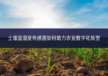 土壤溫濕度傳感器如何助力農(nóng)業(yè)數(shù)字化轉型